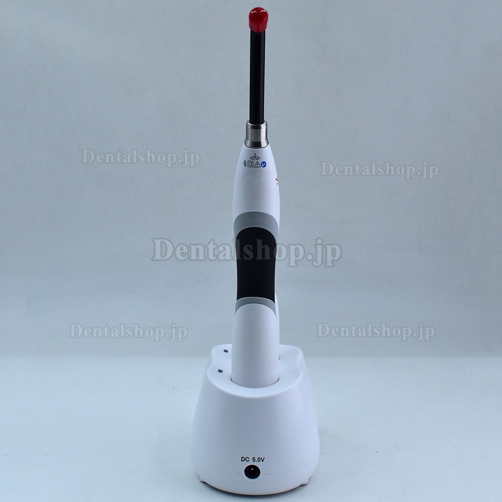 Woodpecker B-Cure 歯科用光重合照射器 バッテリー 2 個と充電器付き